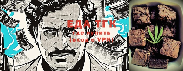 молекула духа Вяземский