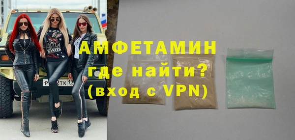 молекула духа Вяземский