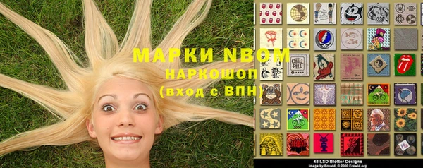 молекула духа Вяземский