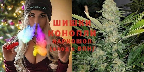молекула духа Вяземский