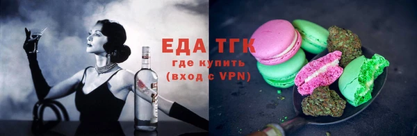 молекула духа Вяземский