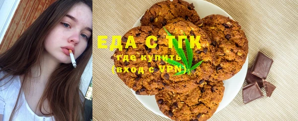 молекула духа Вяземский