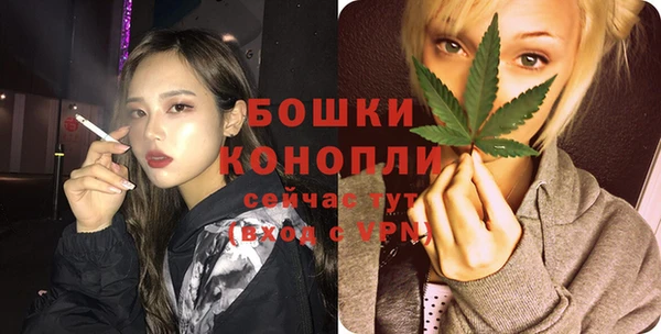 молекула духа Вяземский