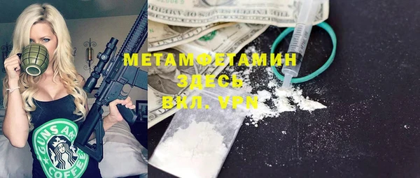 молекула духа Вяземский