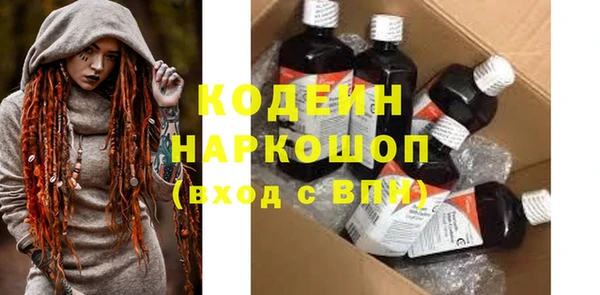 молекула духа Вяземский