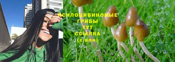 apvp Вязьма