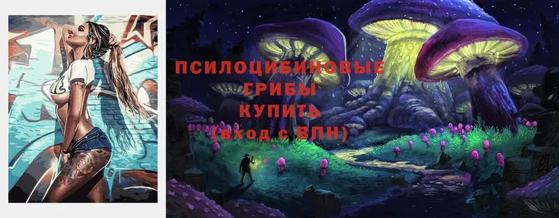 Псилоцибиновые грибы Psilocybine cubensis  darknet формула  Вязники  гидра tor 