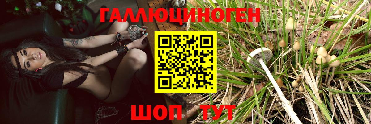 Псилоцибиновые грибы Magic Shrooms Вязники