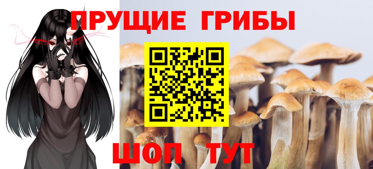 Вязники  Псилоцибиновые грибы ЛСД  Вход с VPN 